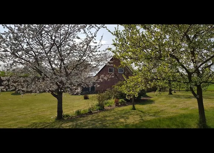 Anneliese An Der Schlei